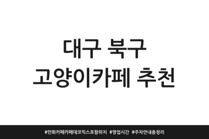 대구 북구 고양이카페 추천 | 만화카페 카페데코믹스 포함 위치 | 영업시간 | 주차 안내 총정리