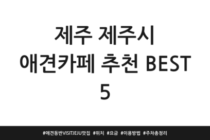 제주 제주시 애견카페 추천 BEST 5 | 애견동반 VISIT JEJU 맛집 | 위치 | 요금 | 이용방법 | 주차 총정리
