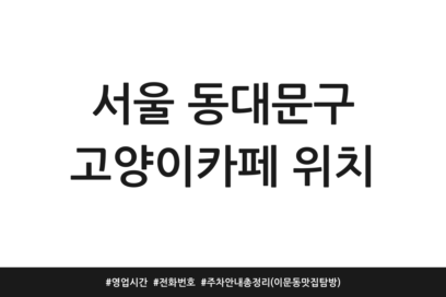 서울 동대문구 고양이카페 위치 | 영업시간 | 전화번호 | 주차 안내 총정리 (이문동 맛집 탐방)