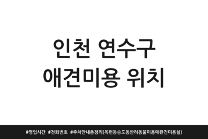 인천 연수구 애견미용 위치 | 영업시간 | 전화번호 | 주차 안내 총정리 (옥련동 송도동 반려동물미용 애완견 미용실)