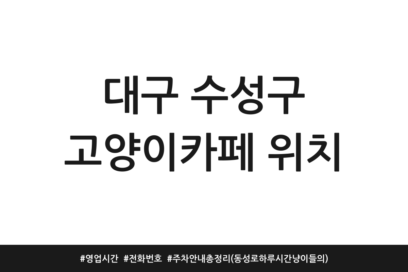 대구 수성구 고양이카페 위치 | 영업시간 | 전화번호 | 주차 안내 총정리 (동성로 하루 시간 냥이들의)