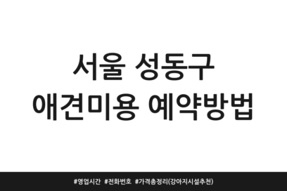 서울 성동구 애견미용 예약방법 | 영업시간 | 전화번호 | 가격 총정리 (강아지 시설 추천)