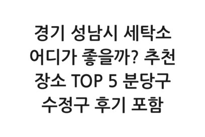 경기 성남시 세탁소 어디가 좋을까? 추천 장소 TOP 5 분당구 수정구 후기 포함