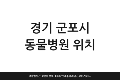 경기 군포시 동물병원 위치 | 영업시간 | 전화번호 | 주차 안내 총정리 및 진료비 가이드