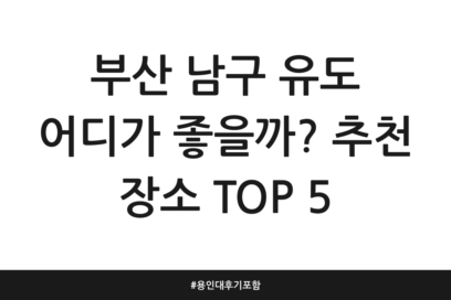 부산 남구 유도 어디가 좋을까? 추천 장소 TOP 5 | 용인대 후기 포함